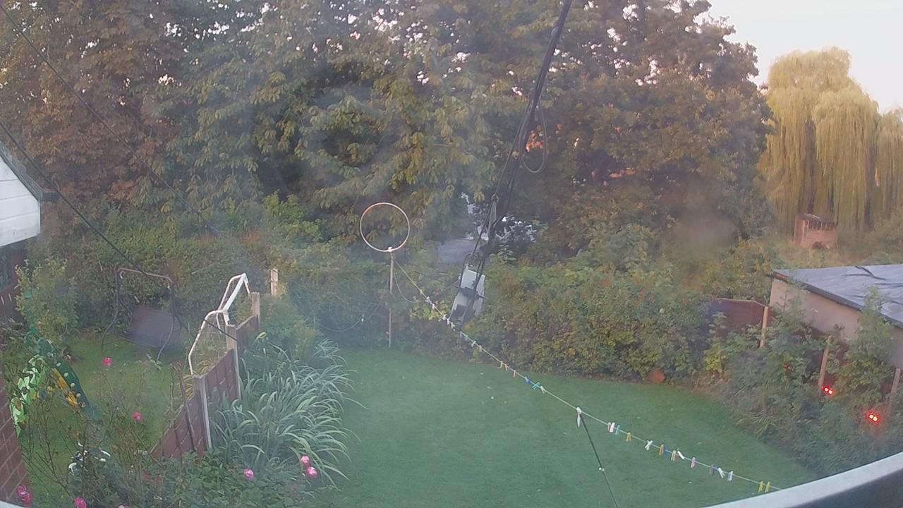 20260910_053004_cam1.jpg