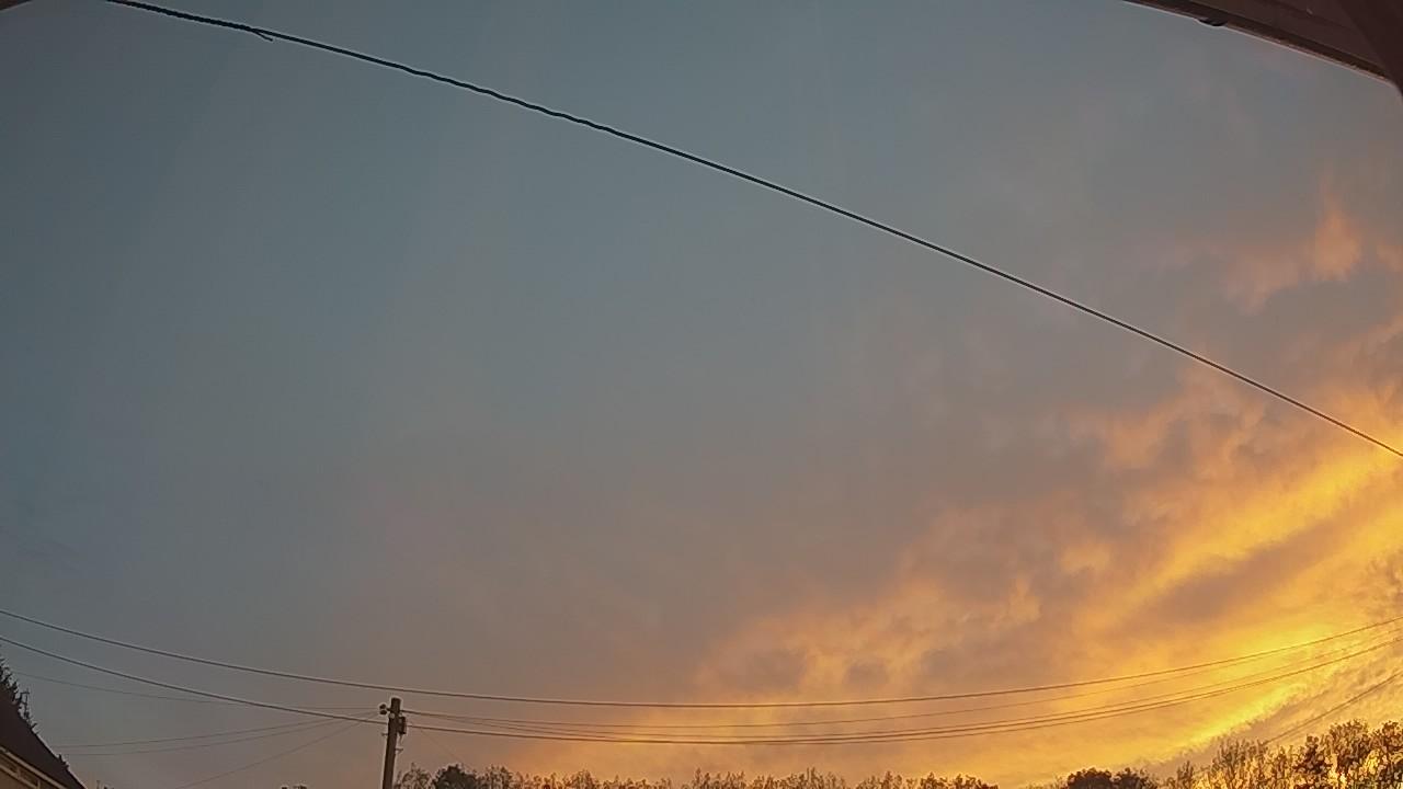 20260910_053005_cam2.jpg