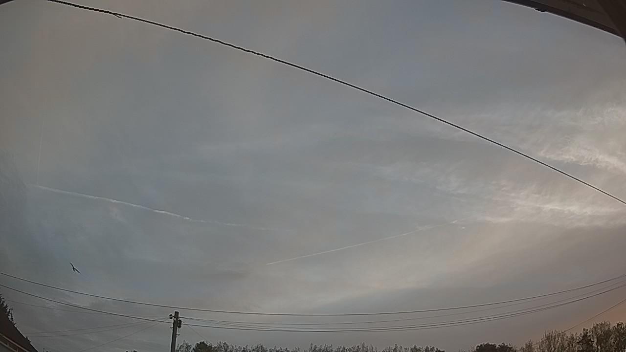 20260910_055352_cam2.jpg