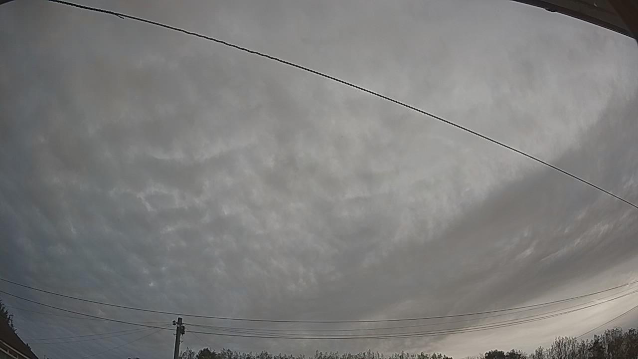 20260910_062523_cam2.jpg