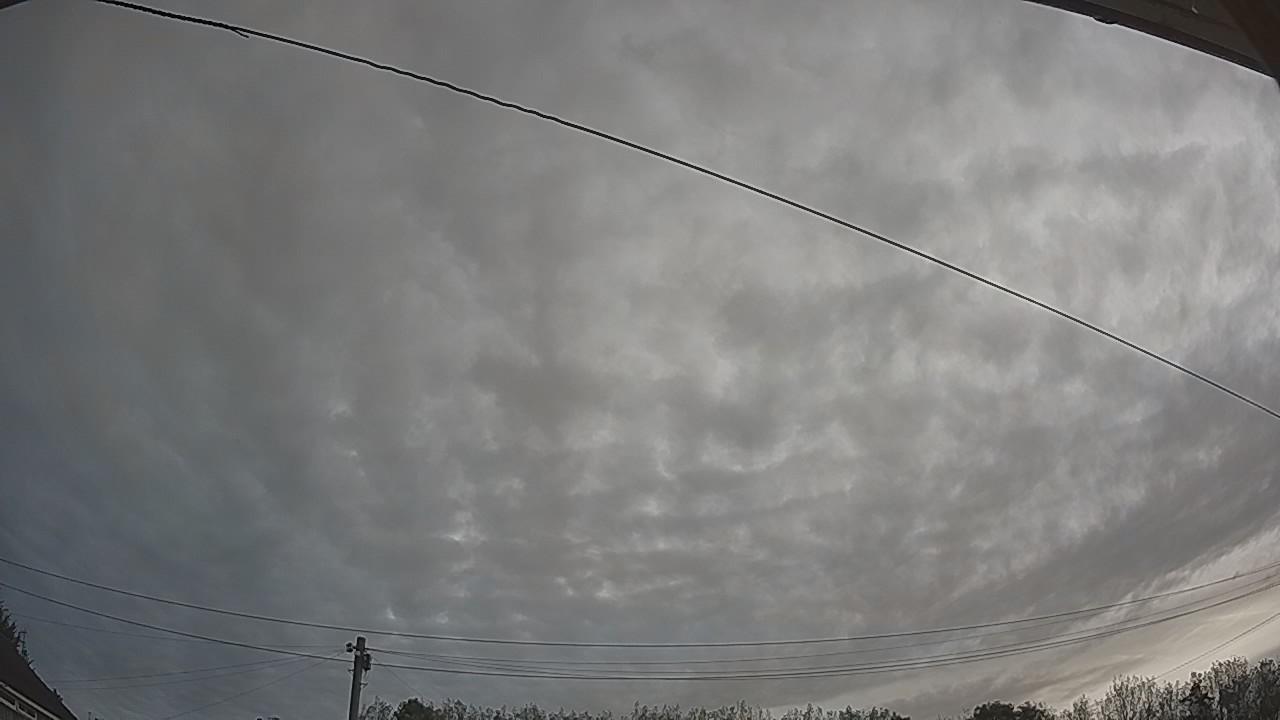 20260910_063435_cam2.jpg