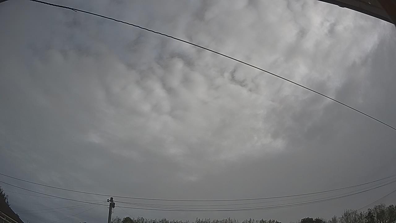 20260910_080148_cam2.jpg