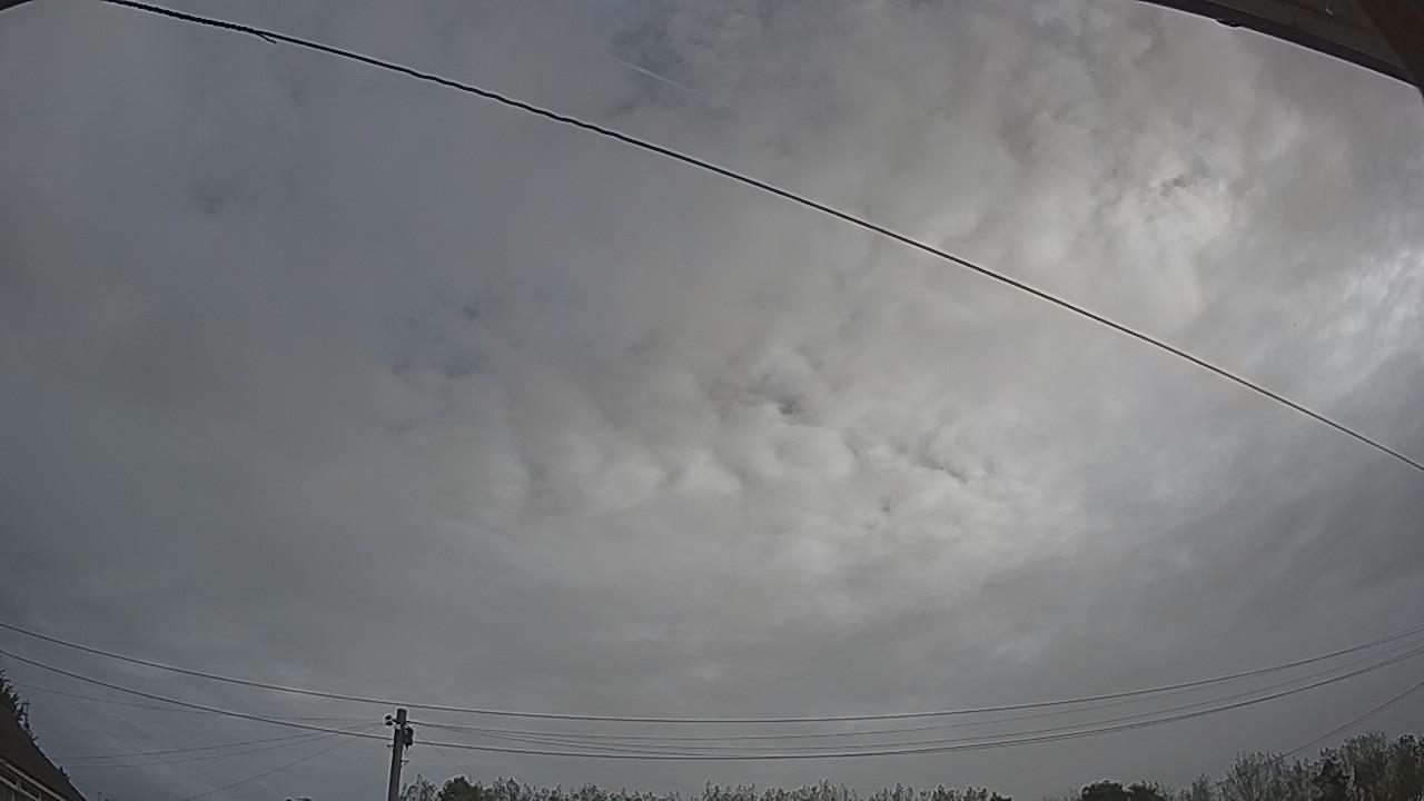 20260910_080616_cam2.jpg