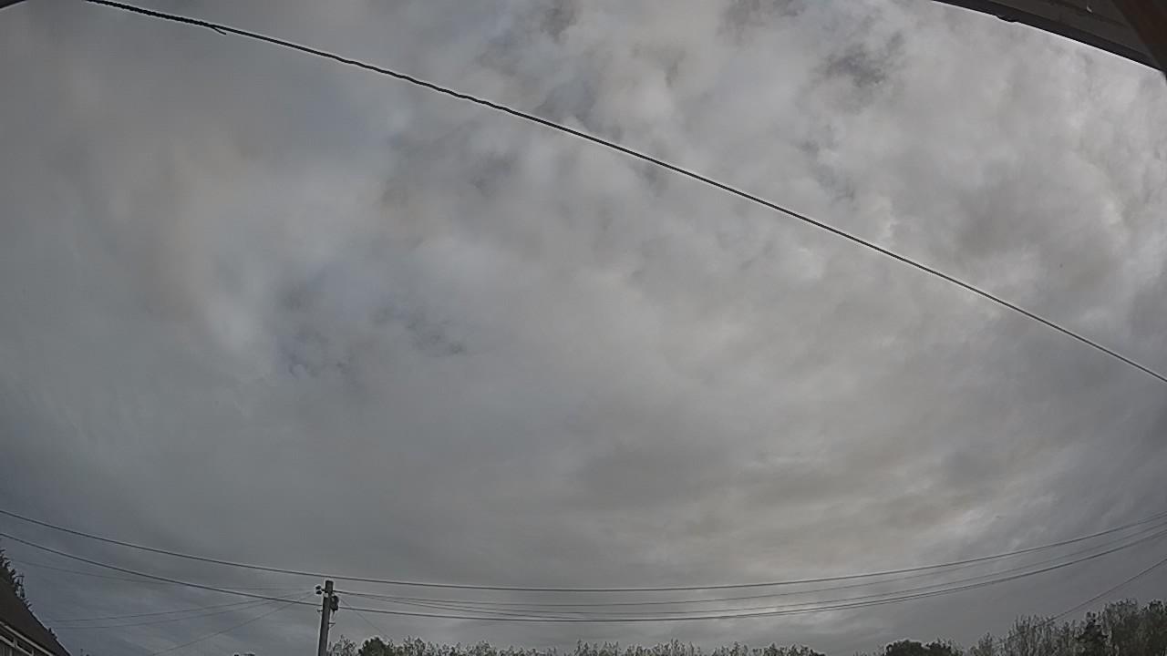 20260910_081044_cam2.jpg