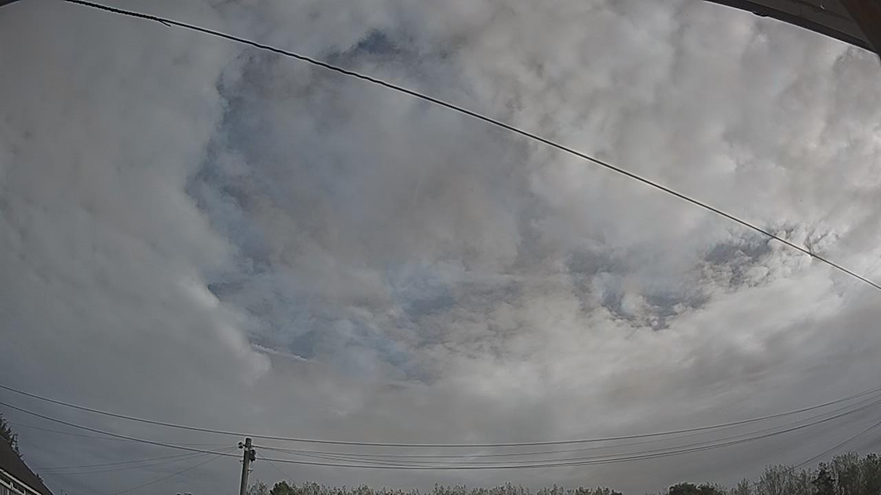 20260910_081939_cam2.jpg