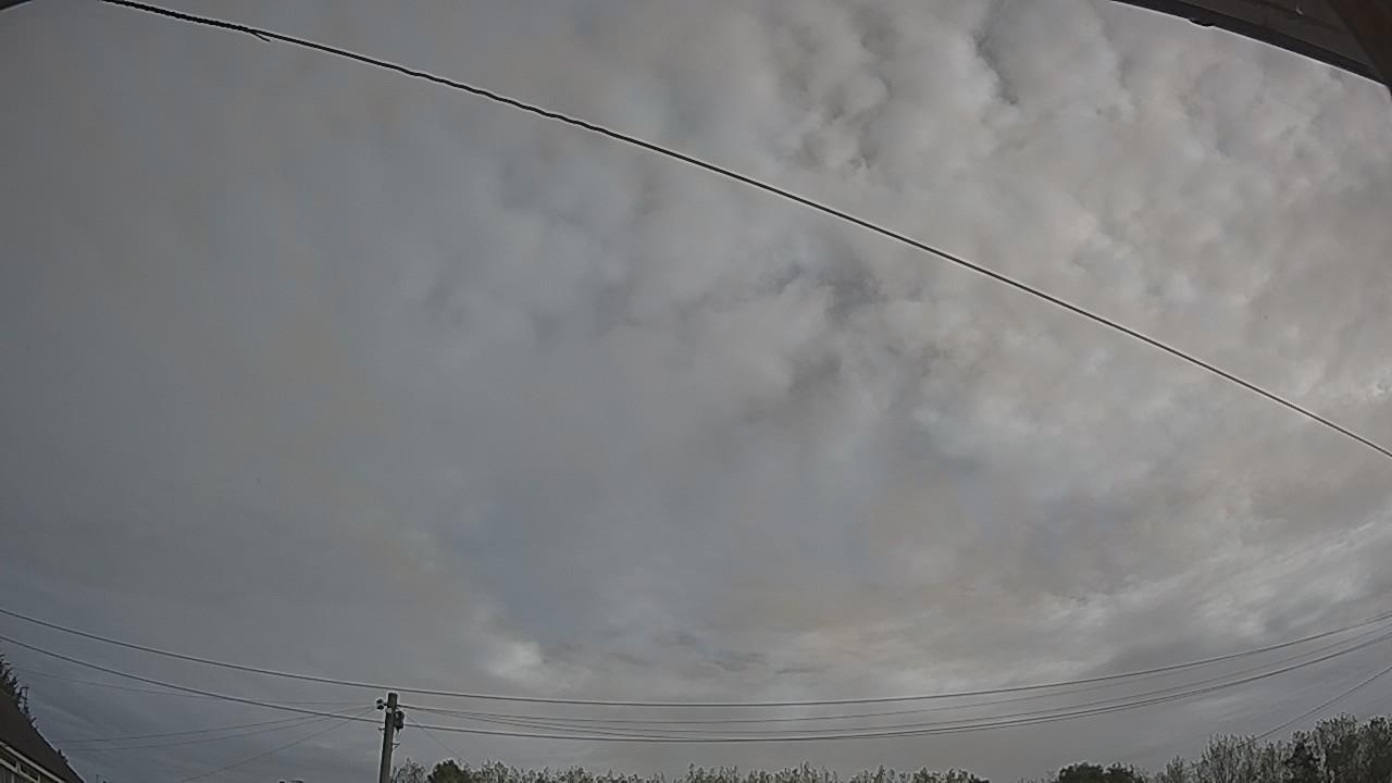 20260910_082406_cam2.jpg