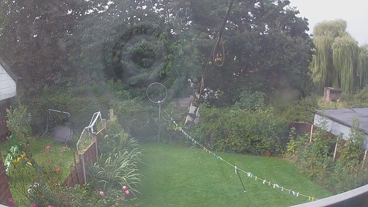 20260910_090801_cam1.jpg