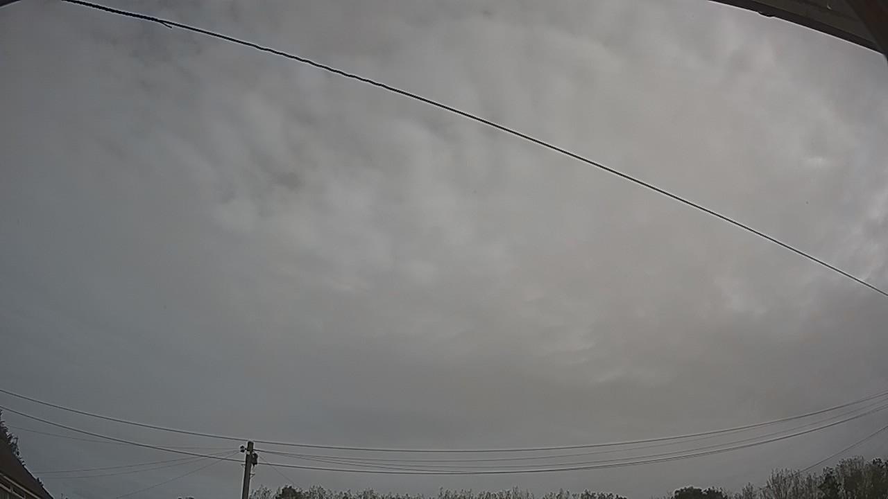 20260910_092847_cam2.jpg