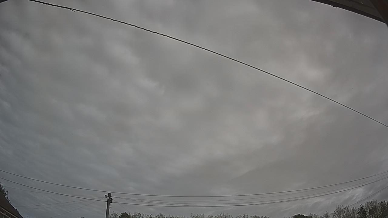20260910_094046_cam2.jpg