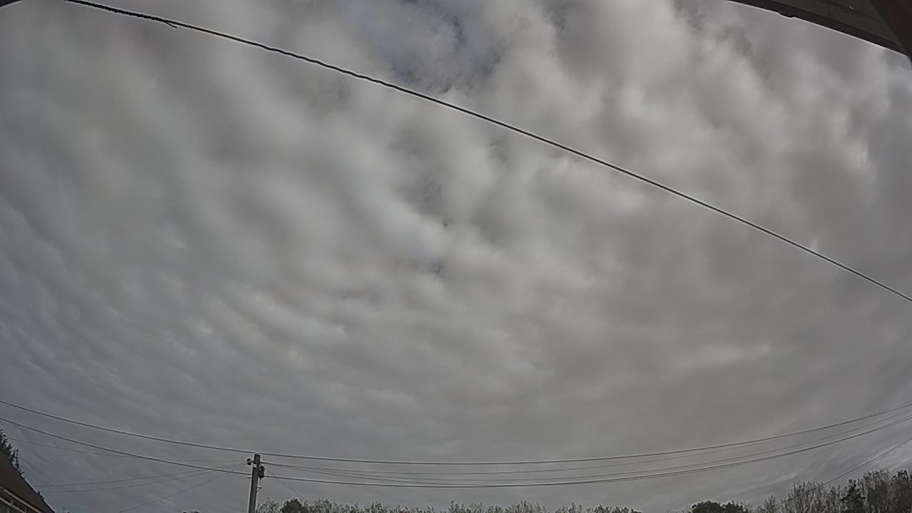20260910_094446_cam2.jpg