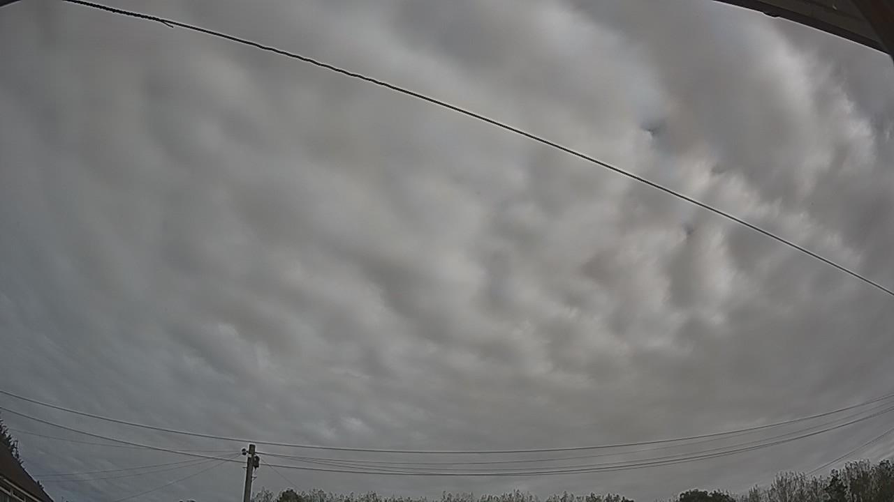20260910_094846_cam2.jpg
