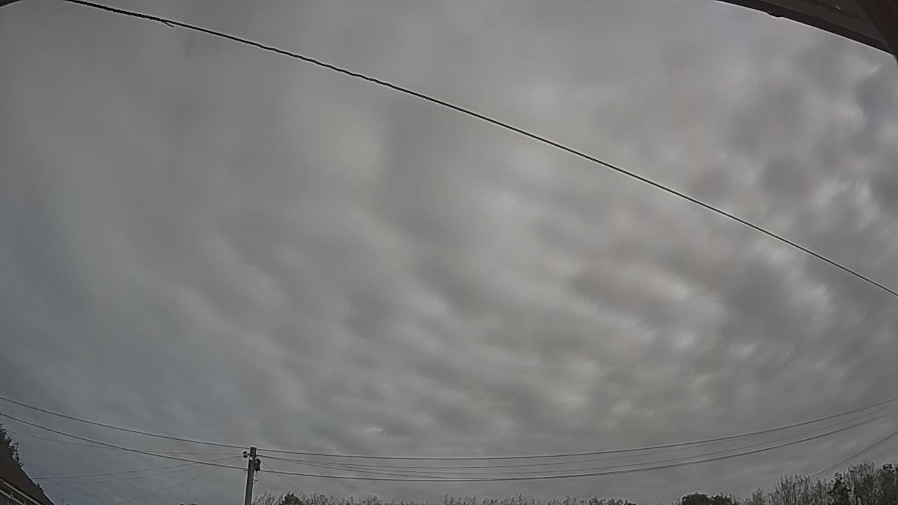 20260910_095245_cam2.jpg