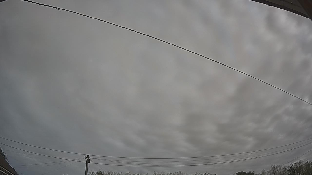 20260910_095645_cam2.jpg