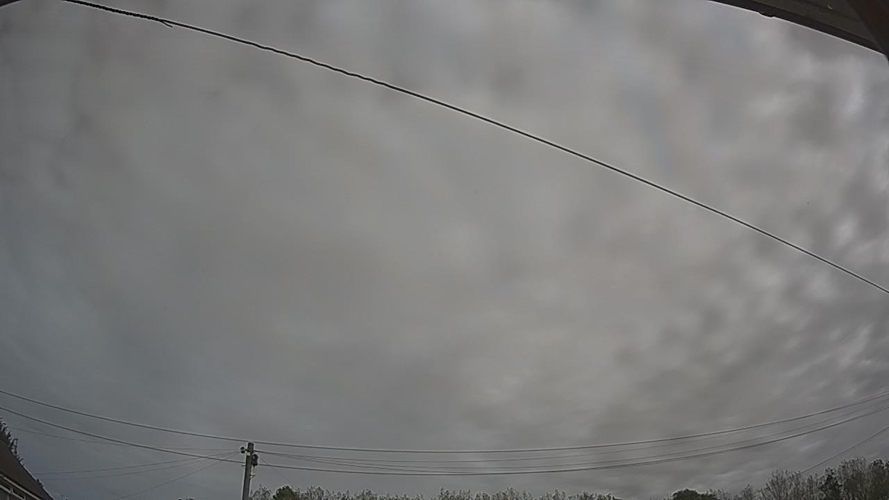 20260910_100053_cam2.jpg