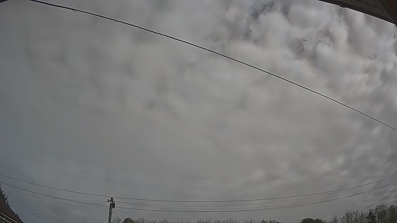 20260910_100502_cam2.jpg