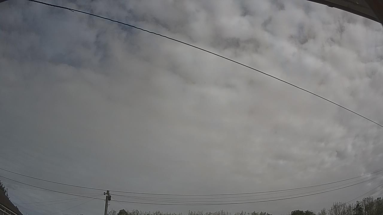 20260910_101319_cam2.jpg