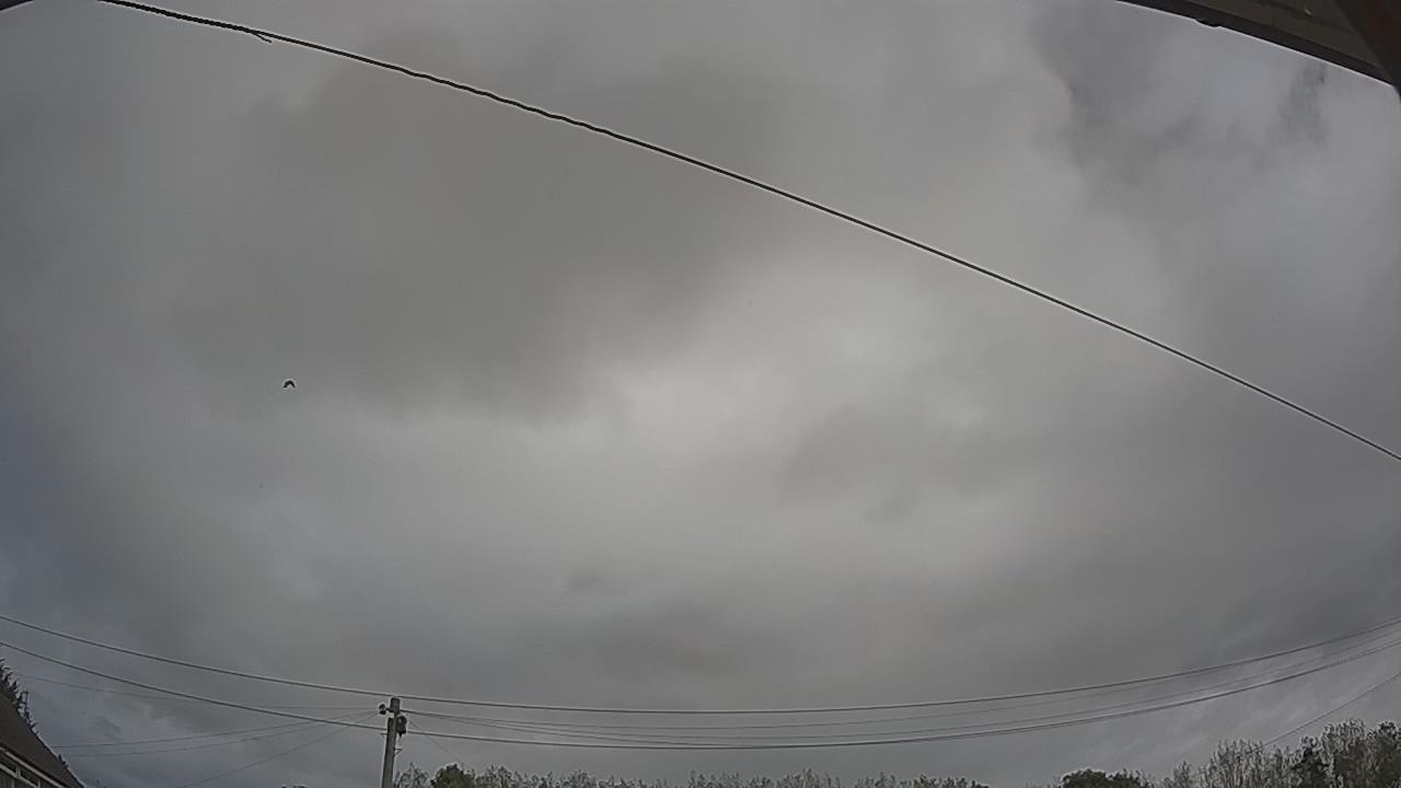 20260910_110141_cam2.jpg