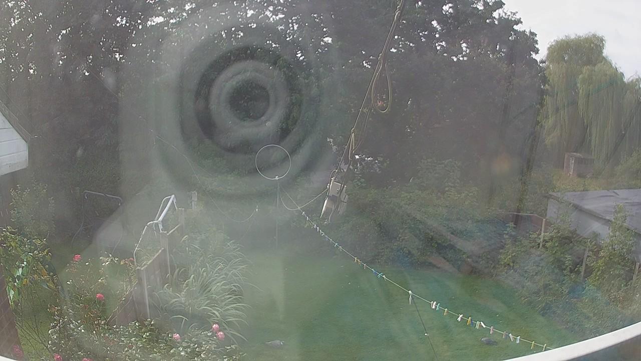 20260910_112737_cam1.jpg