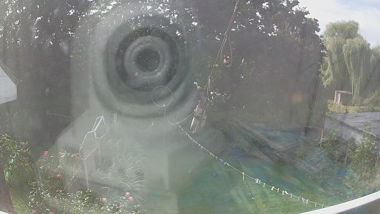 20260910_113128_cam1.jpg