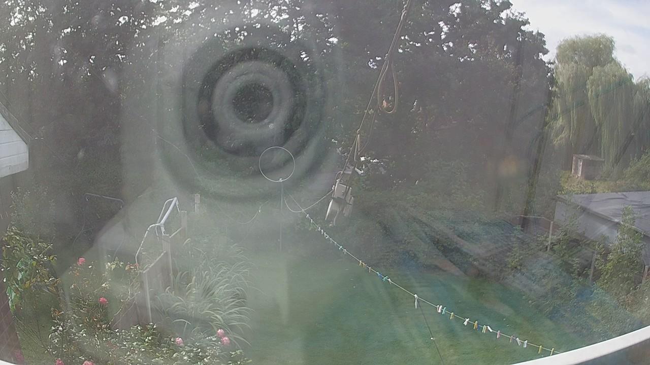 20260910_114302_cam1.jpg
