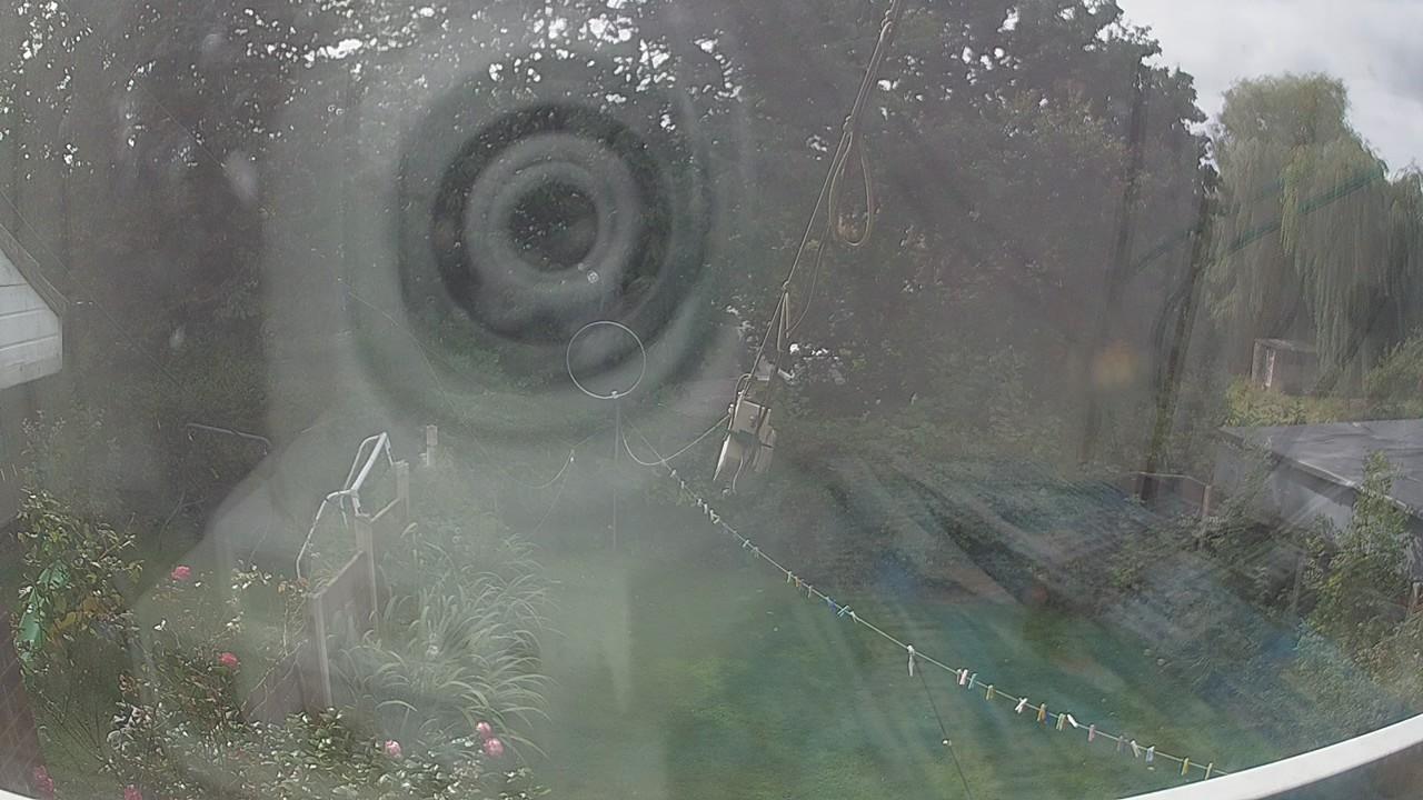 20260910_115436_cam1.jpg