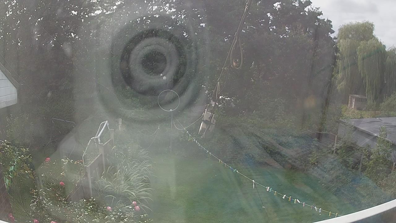 20260910_120542_cam1.jpg