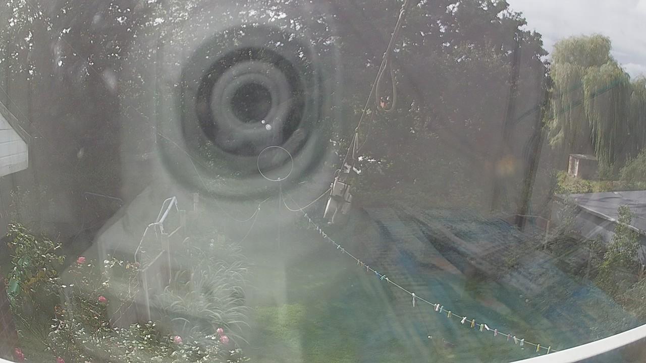 20260910_120924_cam1.jpg