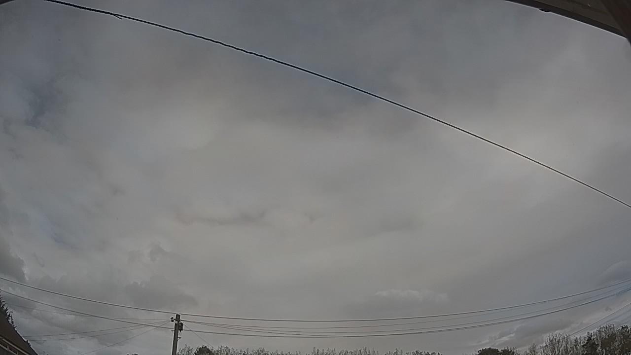 20260910_123135_cam2.jpg