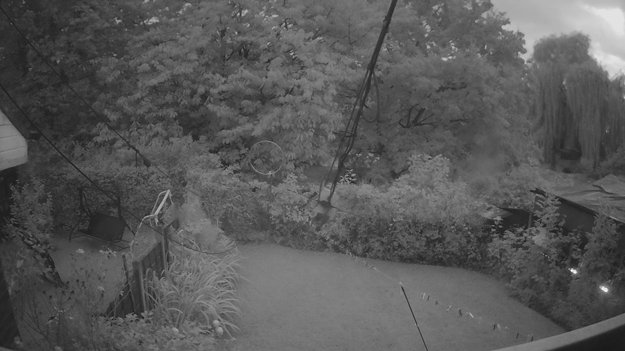 20260910_190128_cam1.jpg