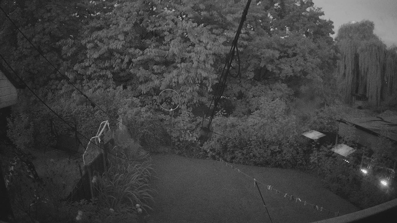 20260911_050212_cam1.jpg