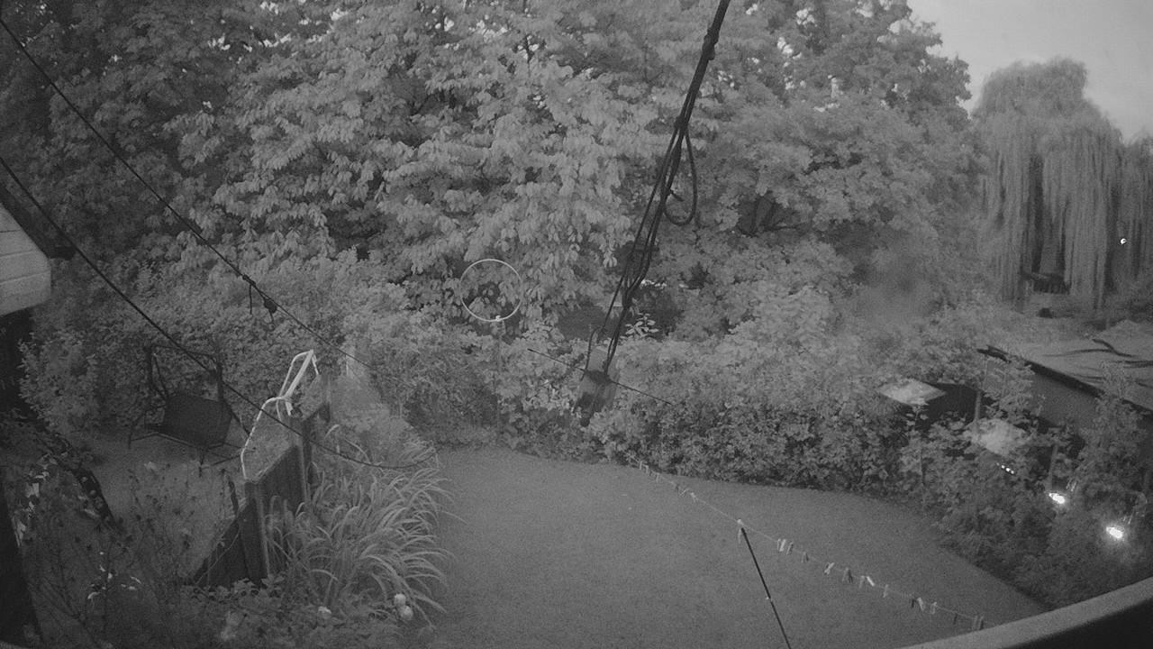 20260911_050631_cam1.jpg