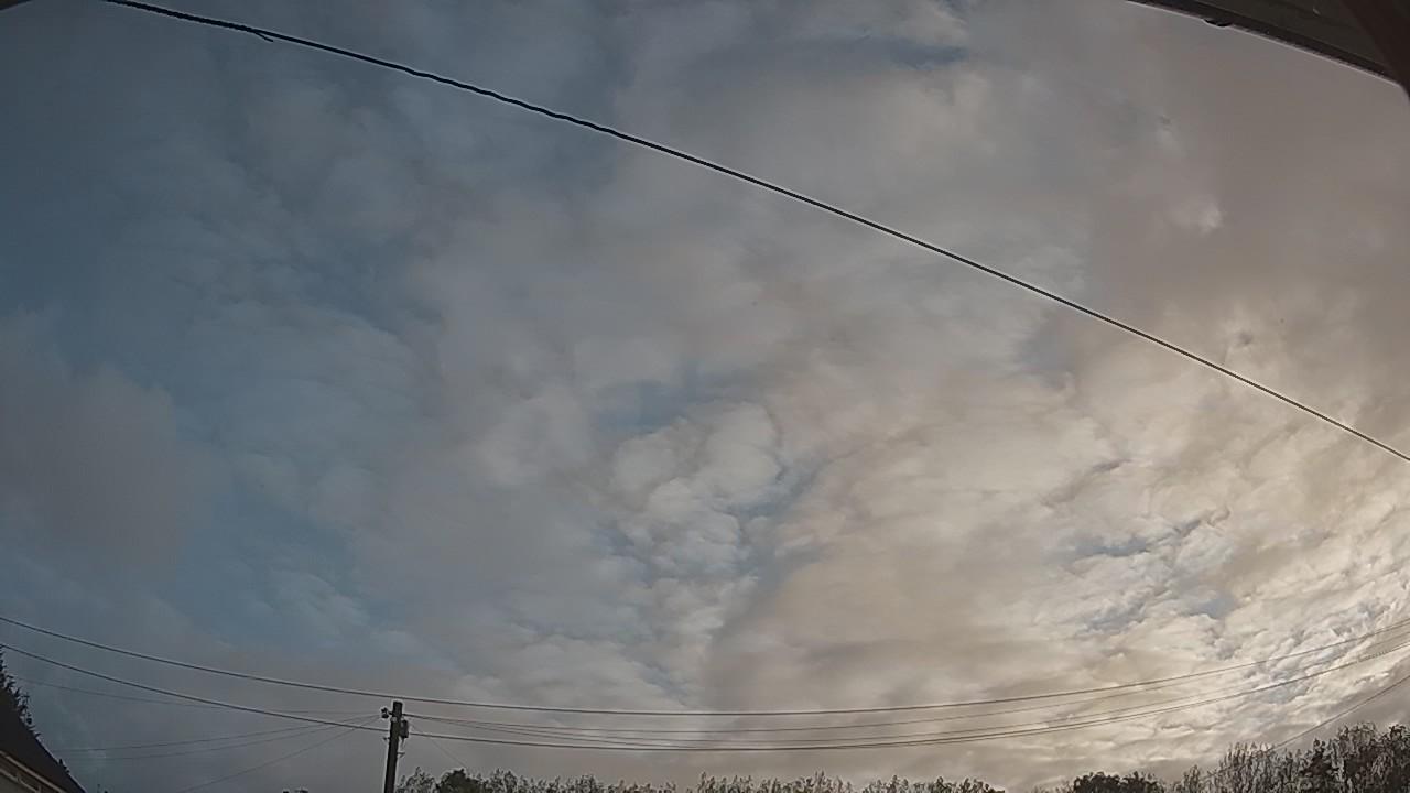 20260911_062938_cam2.jpg