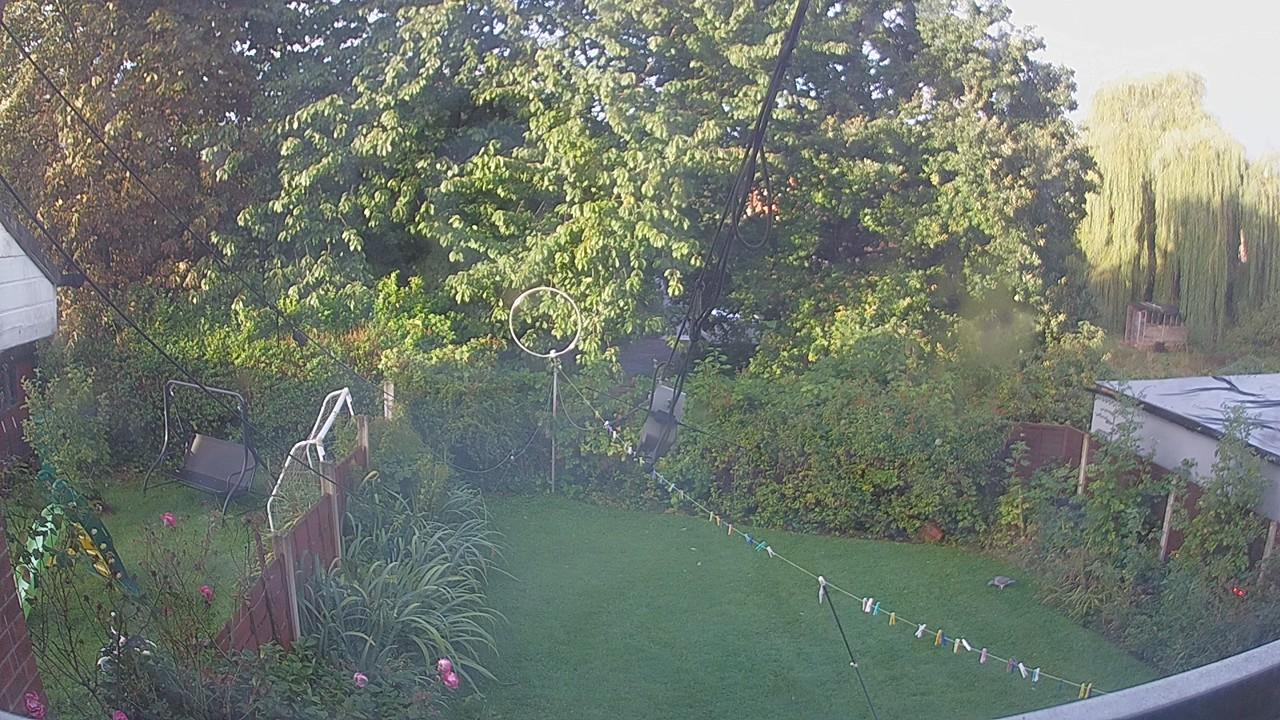 20260911_063719_cam1.jpg