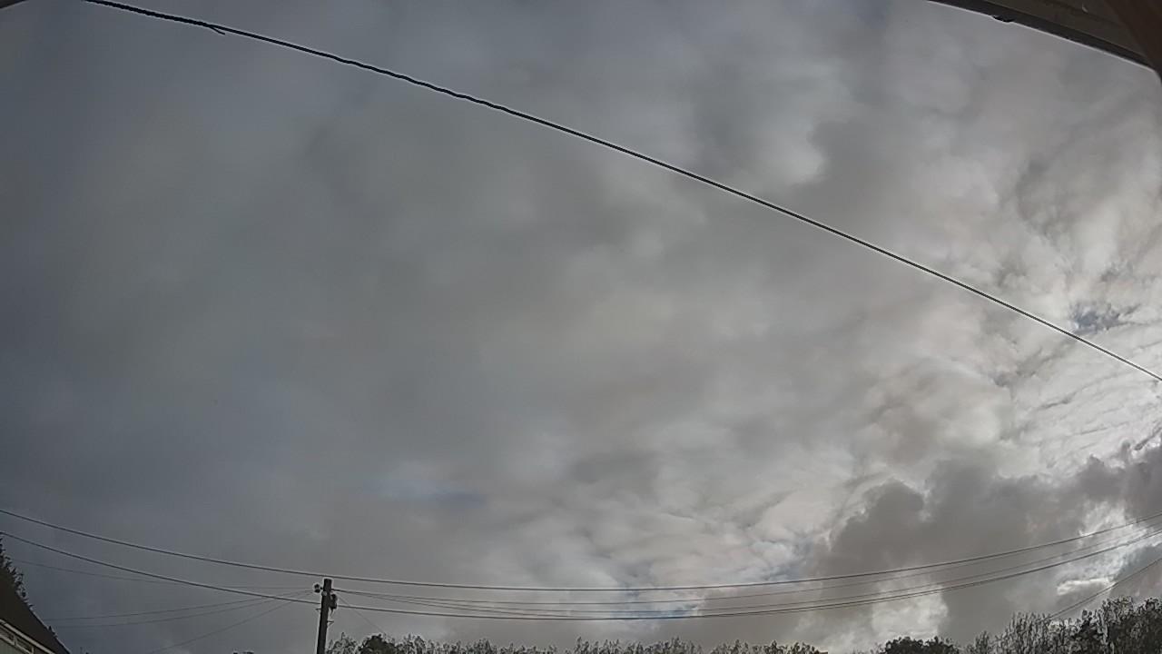 20260911_064853_cam2.jpg