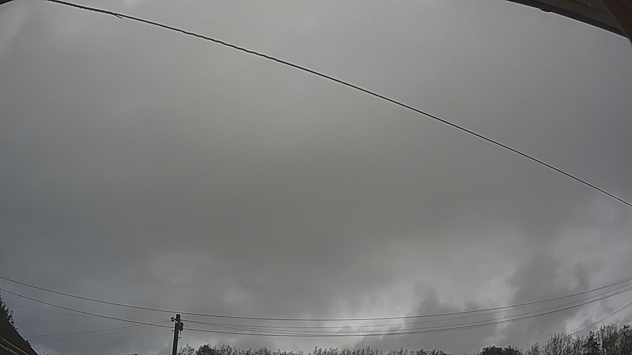 20260911_080056_cam2.jpg