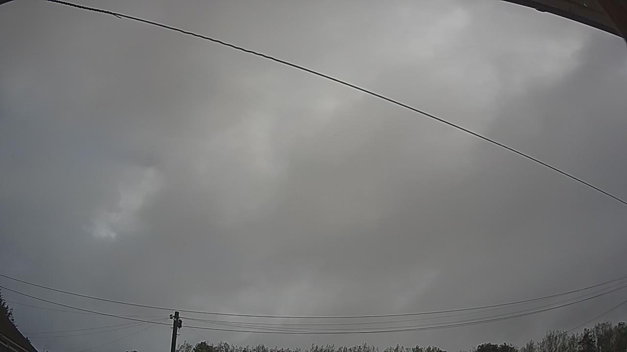 20260911_081325_cam2.jpg