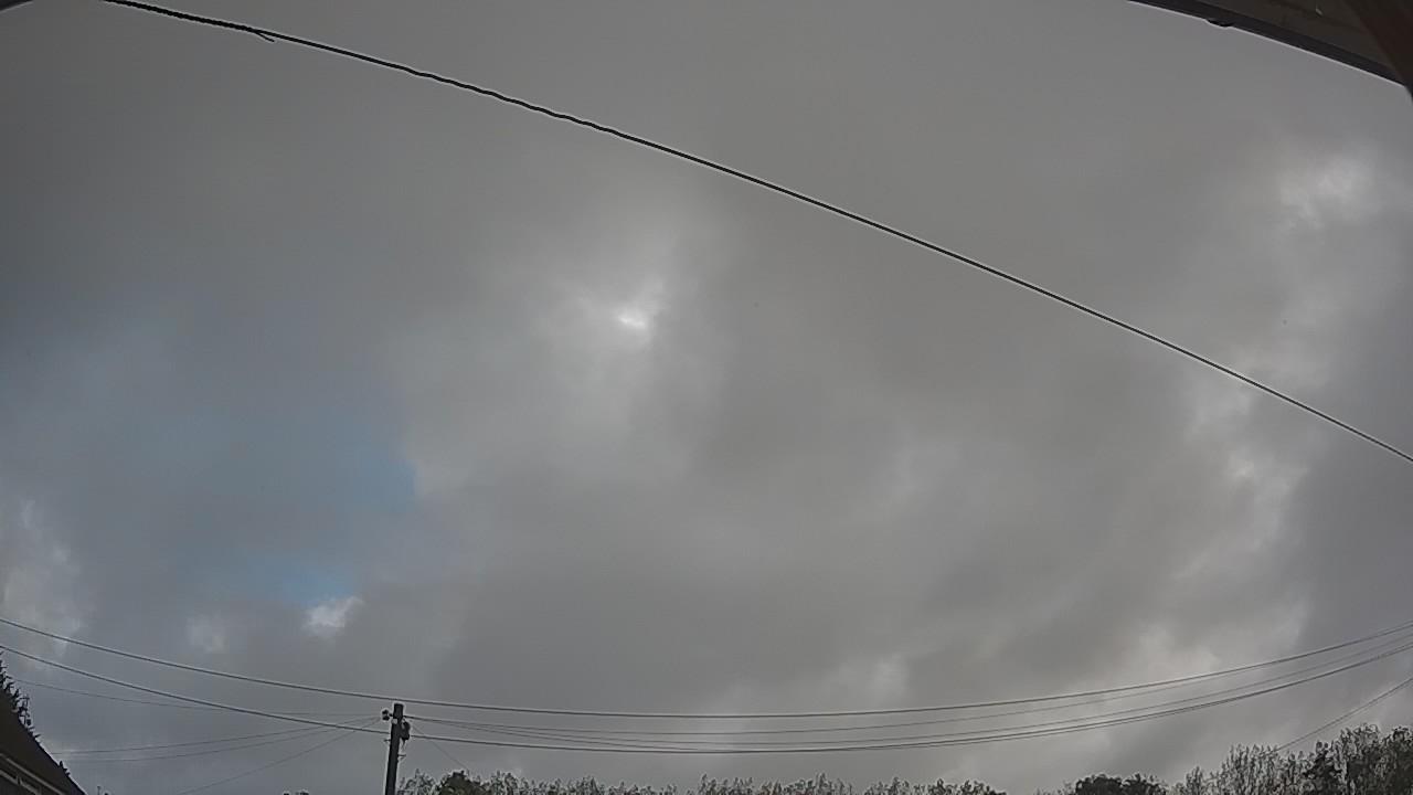 20260911_081735_cam2.jpg