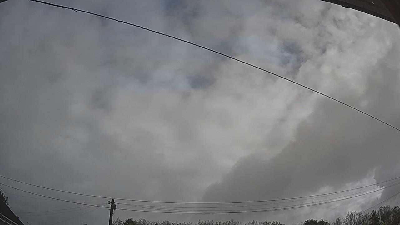 20260911_084231_cam2.jpg
