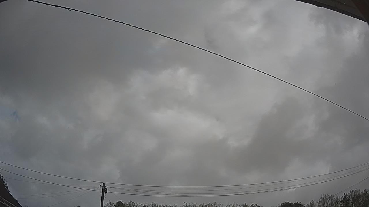 20260911_085049_cam2.jpg