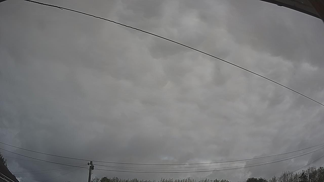 20260911_100114_cam2.jpg
