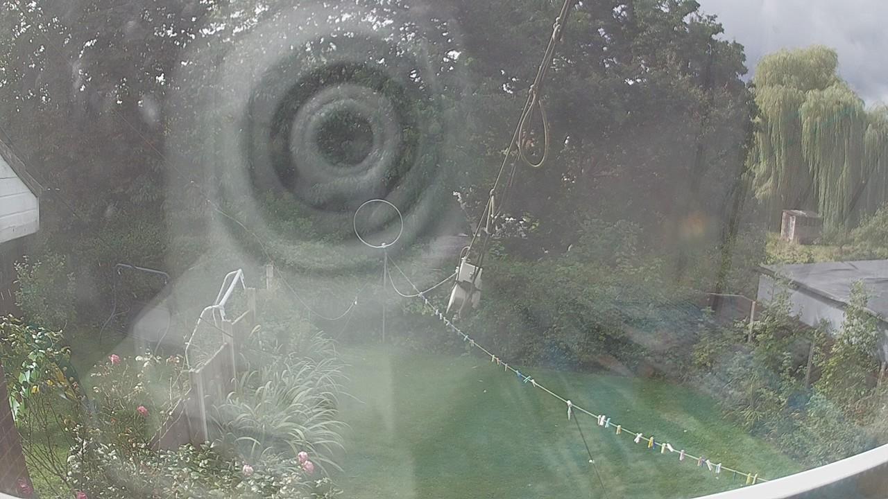 20260911_110803_cam1.jpg