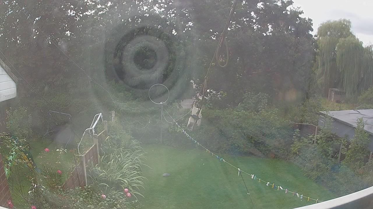 20260911_131201_cam1.jpg