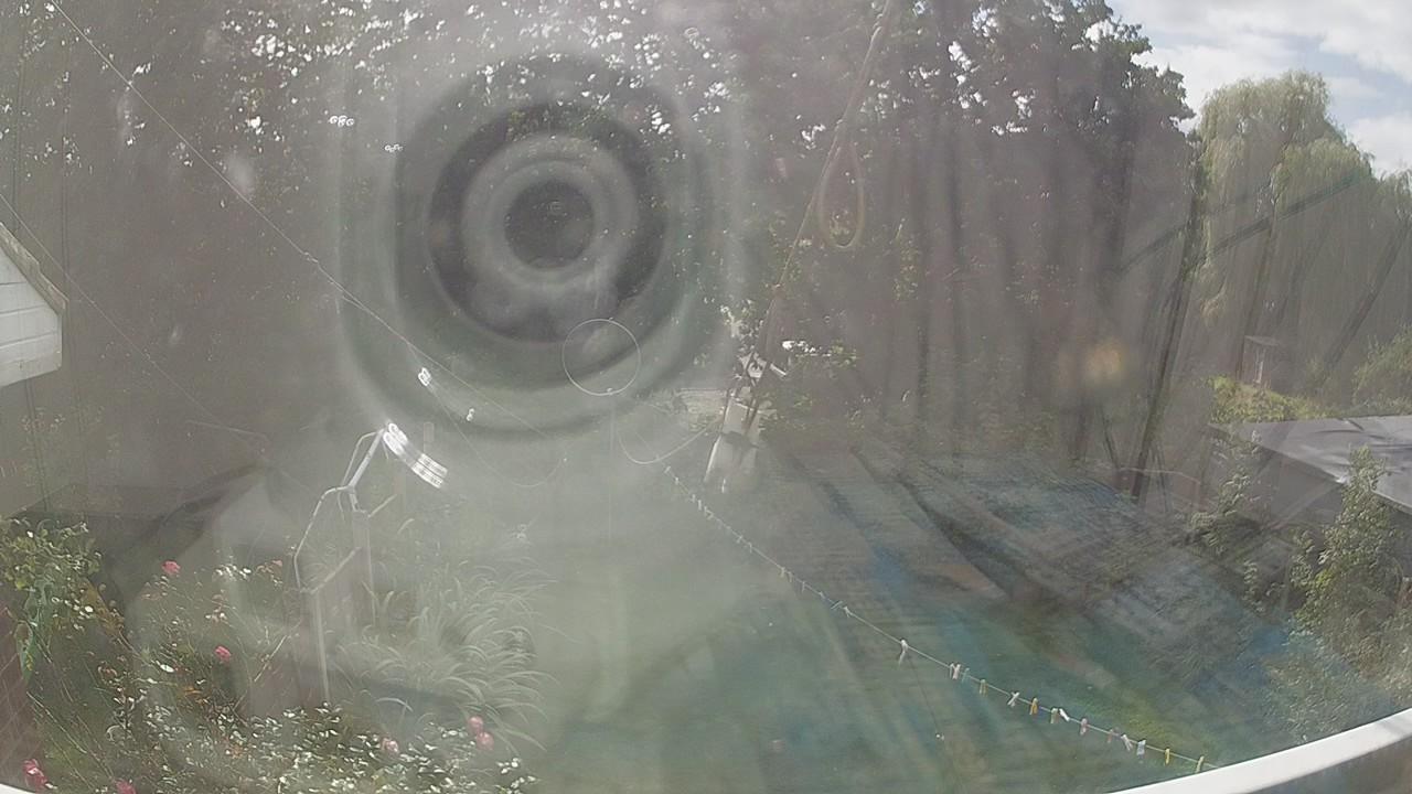 20260911_133722_cam1.jpg
