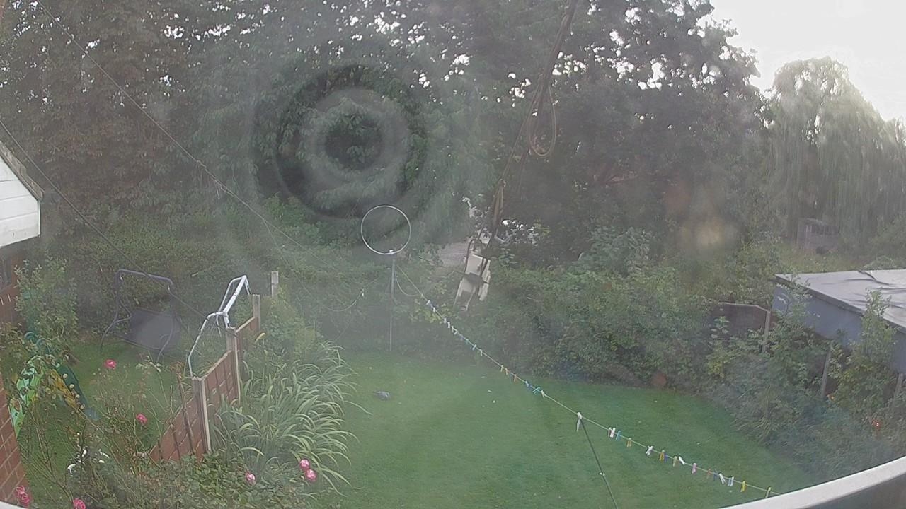 20260911_164542_cam1.jpg