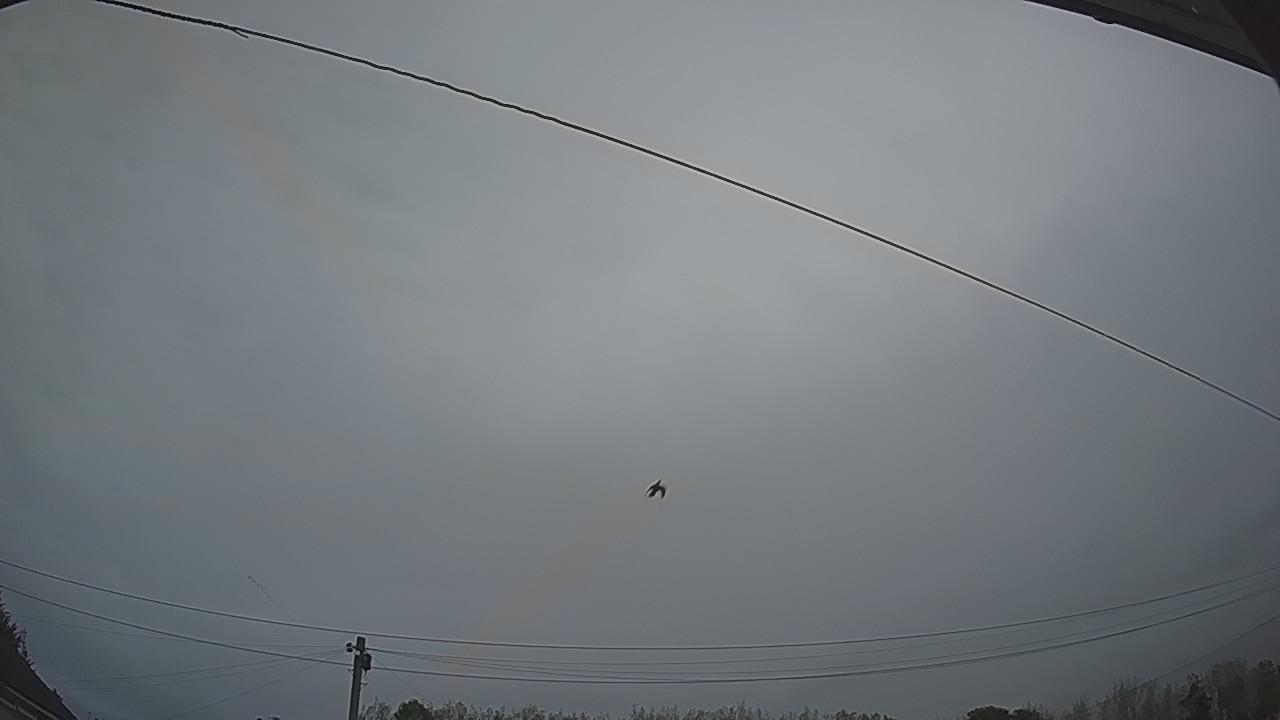 20260912_054543_cam2.jpg