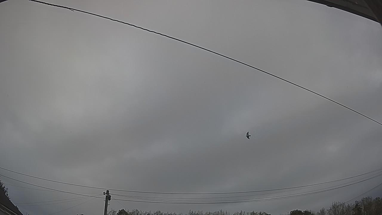 20260912_074121_cam2.jpg