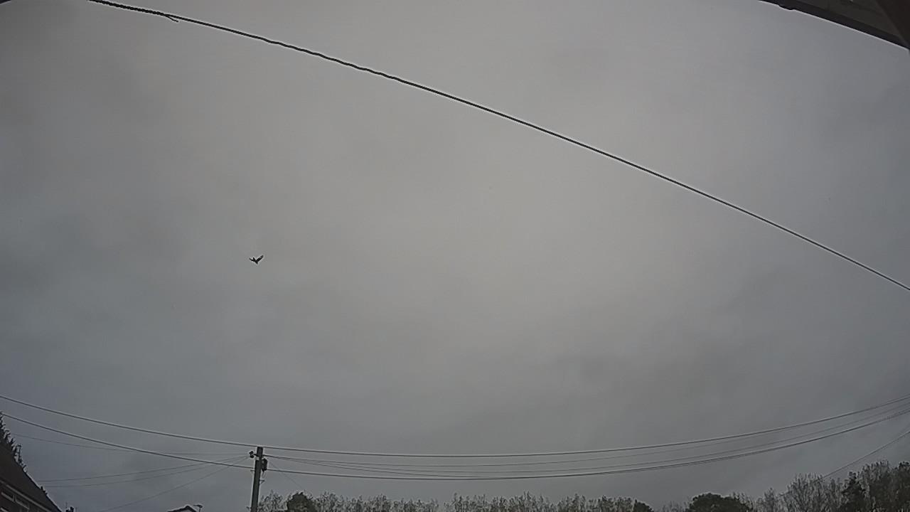 20260912_111606_cam2.jpg