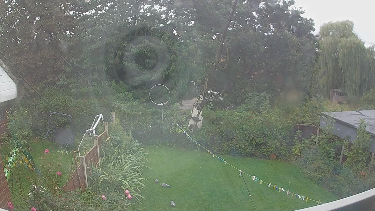 20260912_134449_cam1.jpg