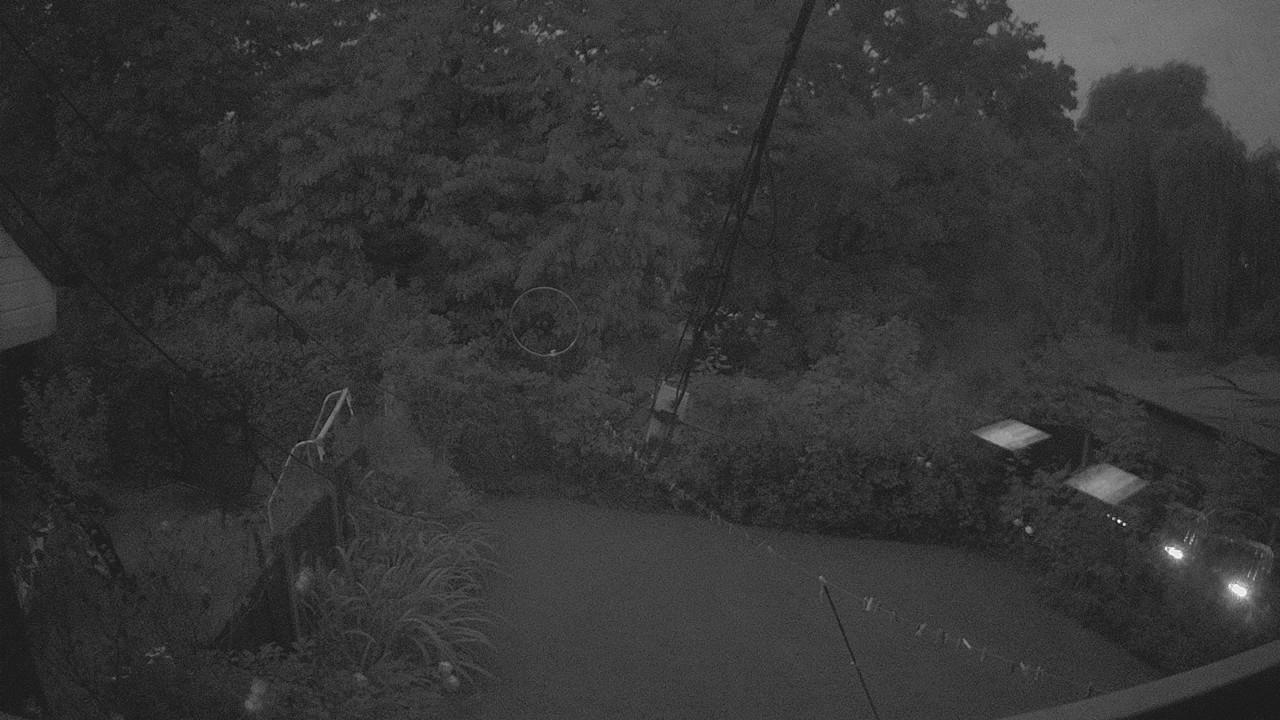 20260913_050659_cam1.jpg
