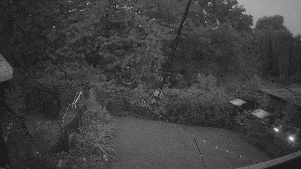 20260913_051144_cam1.jpg